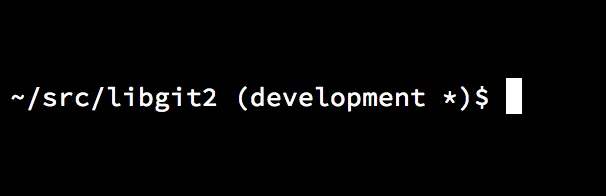 自定义的 <code width=